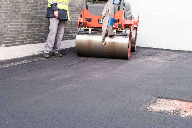 Driveway Pressure Washing in Alorton, IL